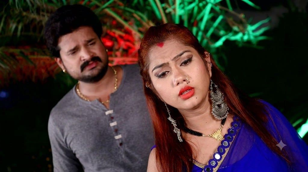 Bhojpuri Song Profile