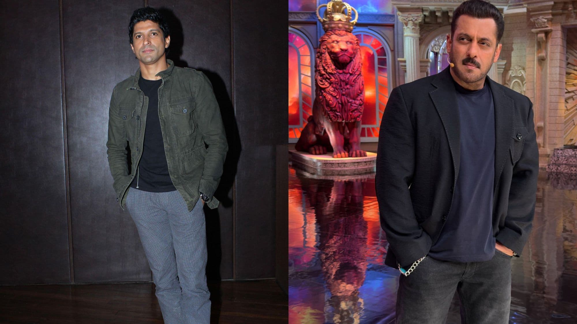 Don 3 Profile