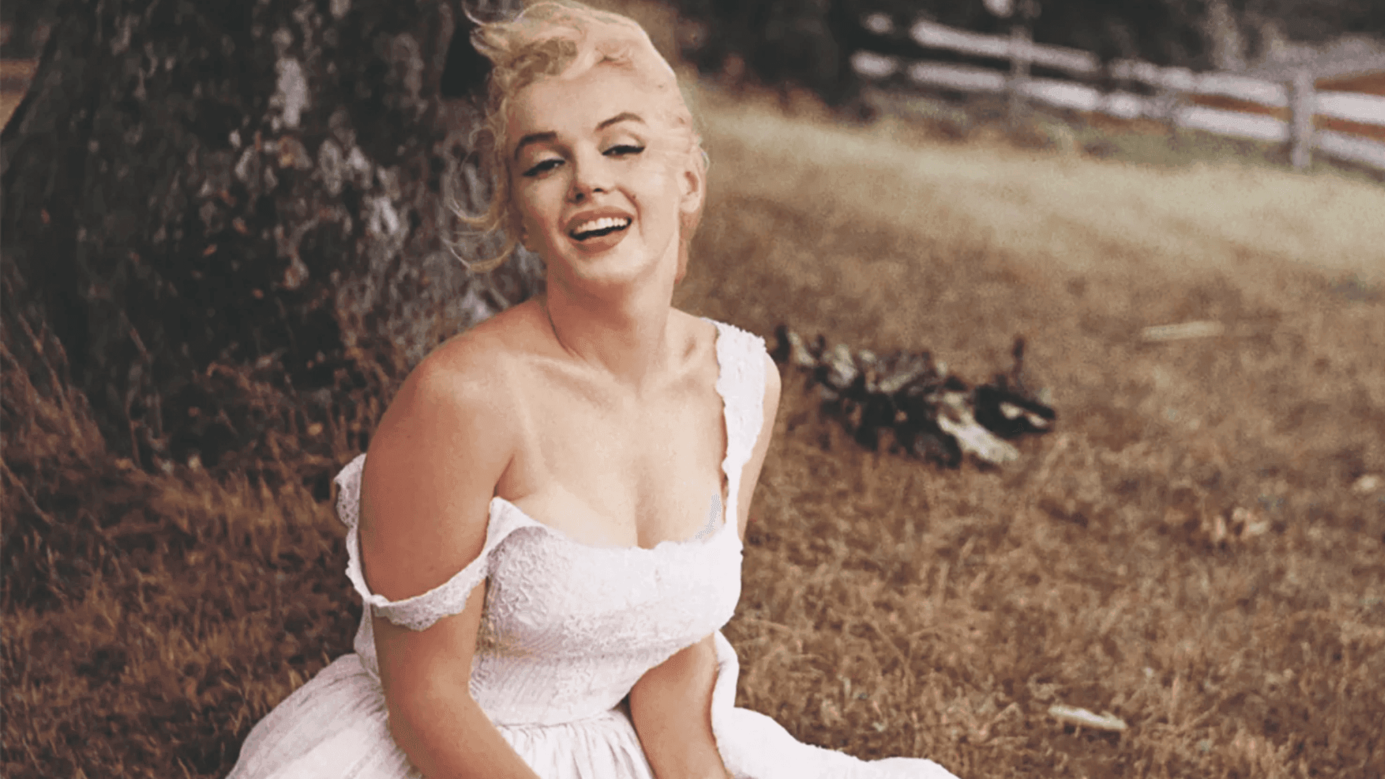 Marilyn Monroe Profile