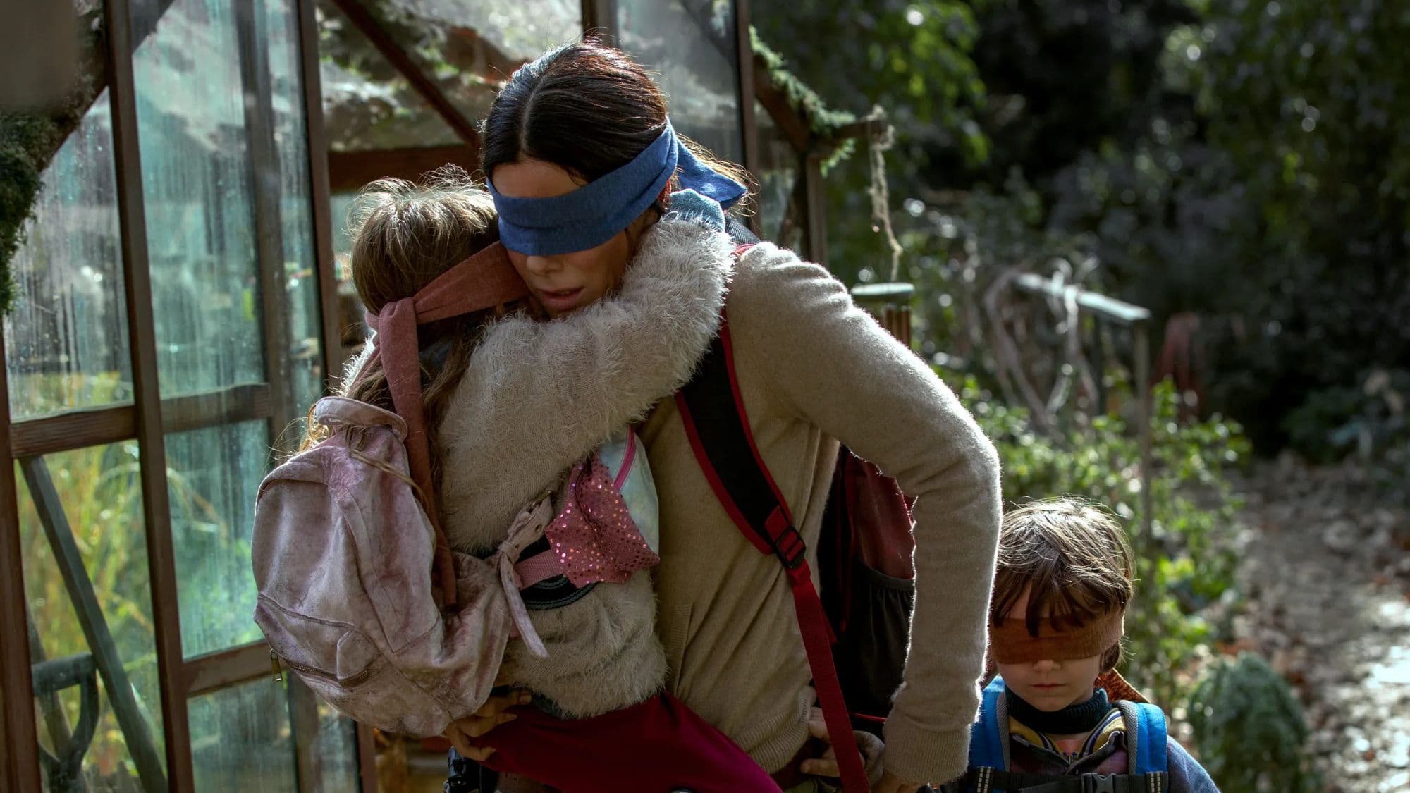 Bird Box Profile