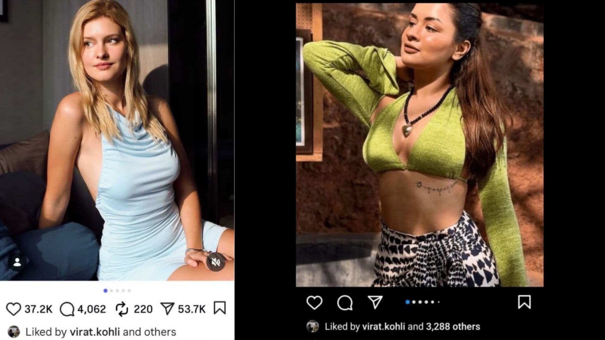Lizlaz Avneet Profile