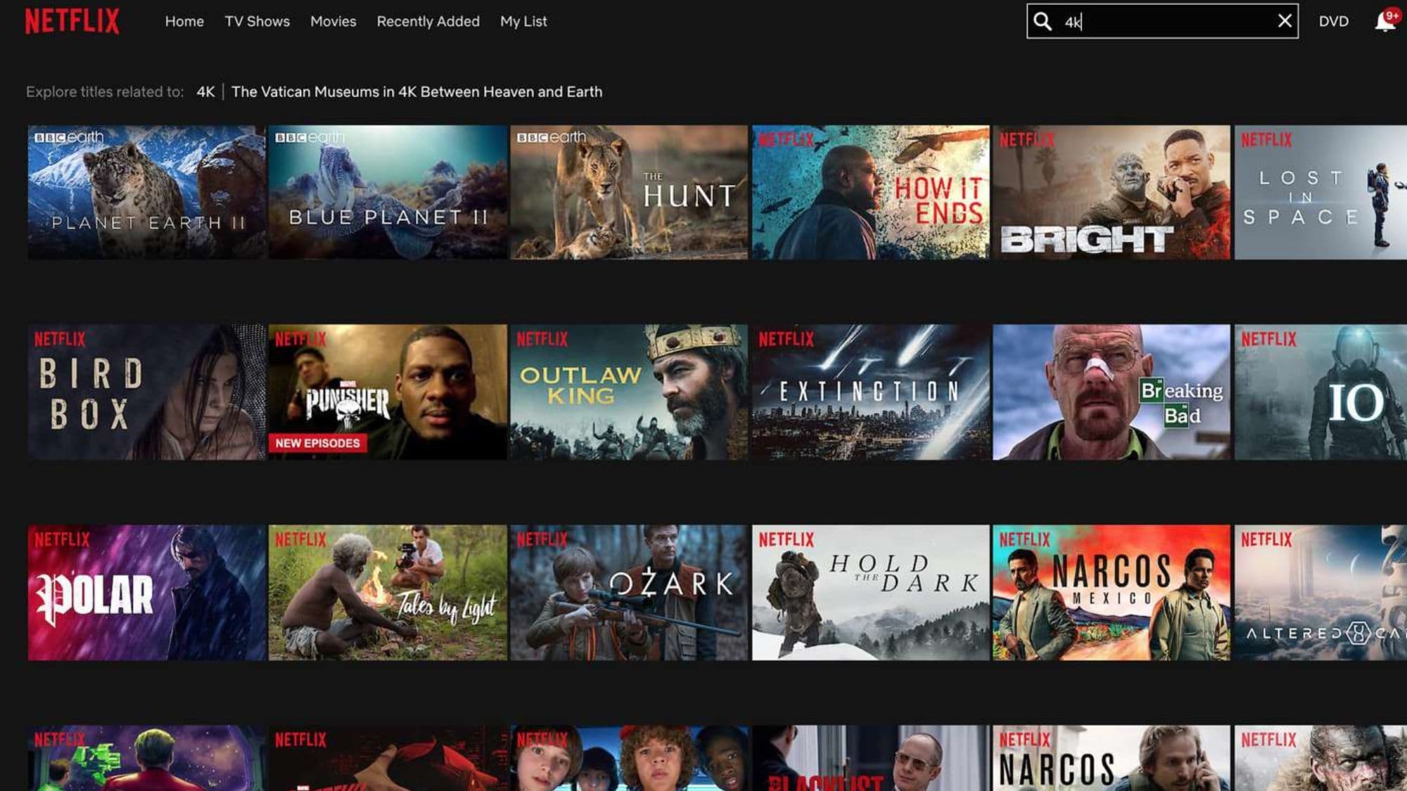 Netflix Profile