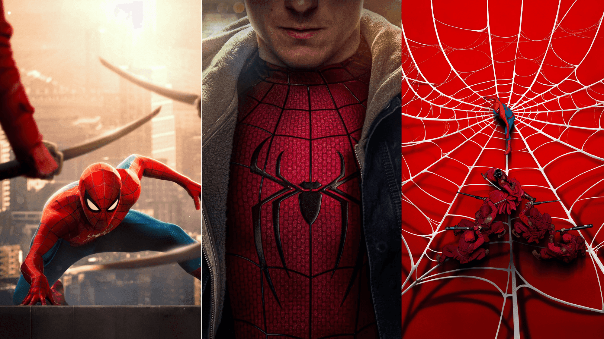 Spider-Man: Brand New Day Profile