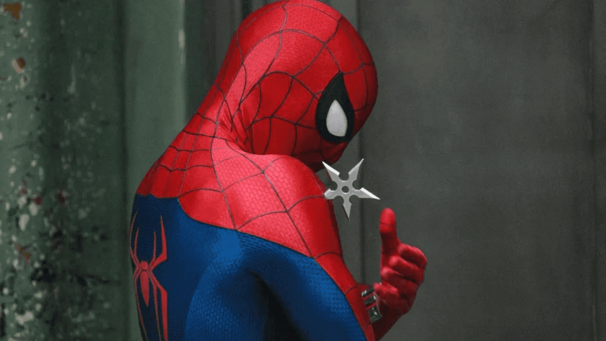Spider-Man: Brand New Day Profile